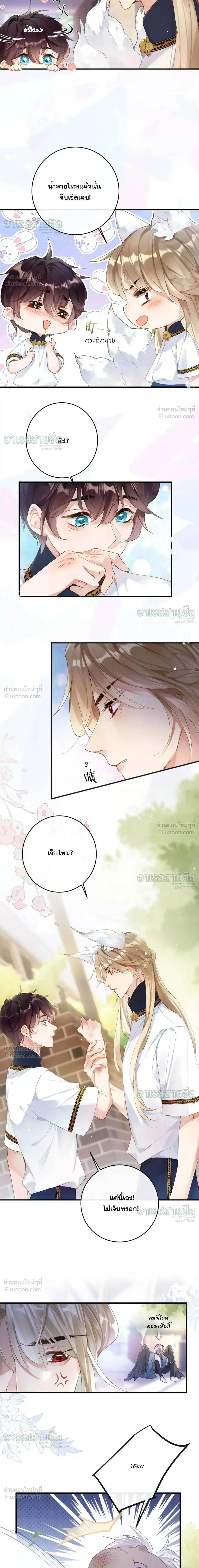 หน้าที่ 6