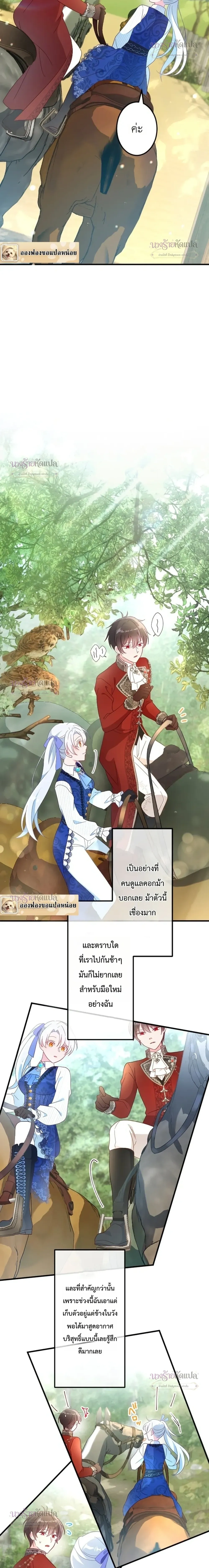 หน้าที่ 17