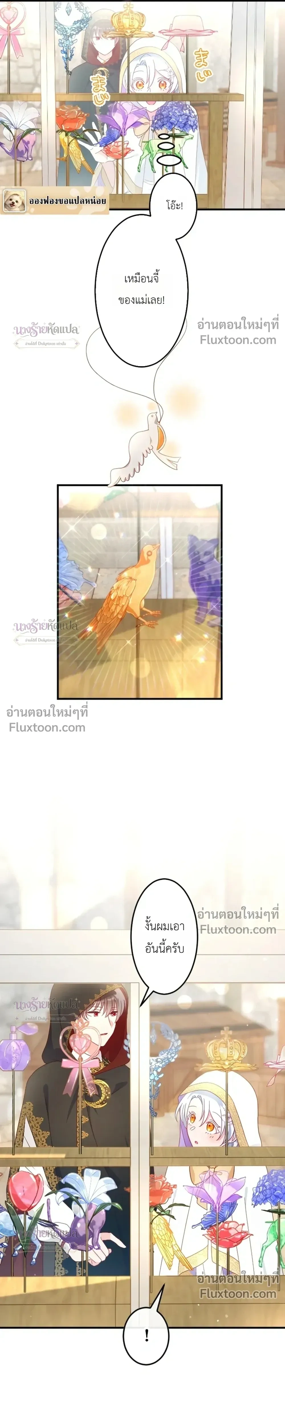 หน้าที่ 17