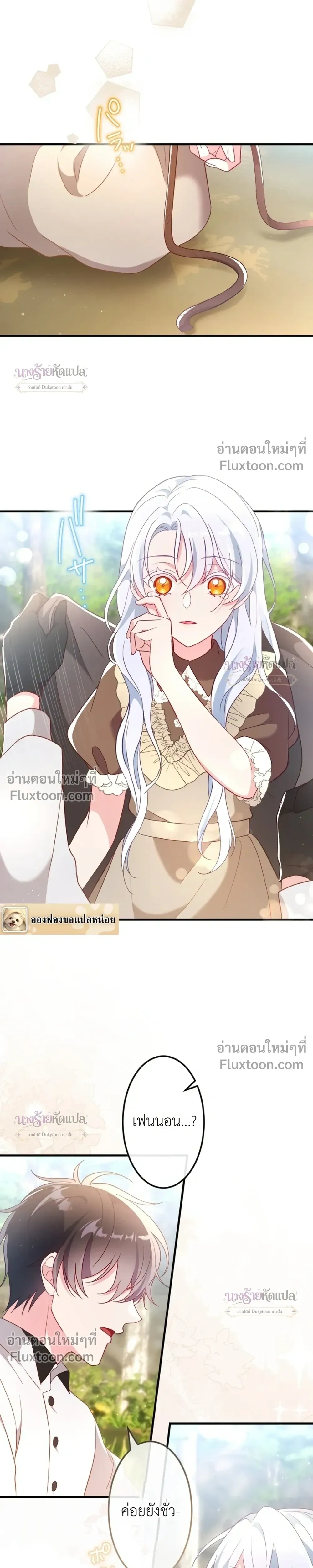 หน้าที่ 24