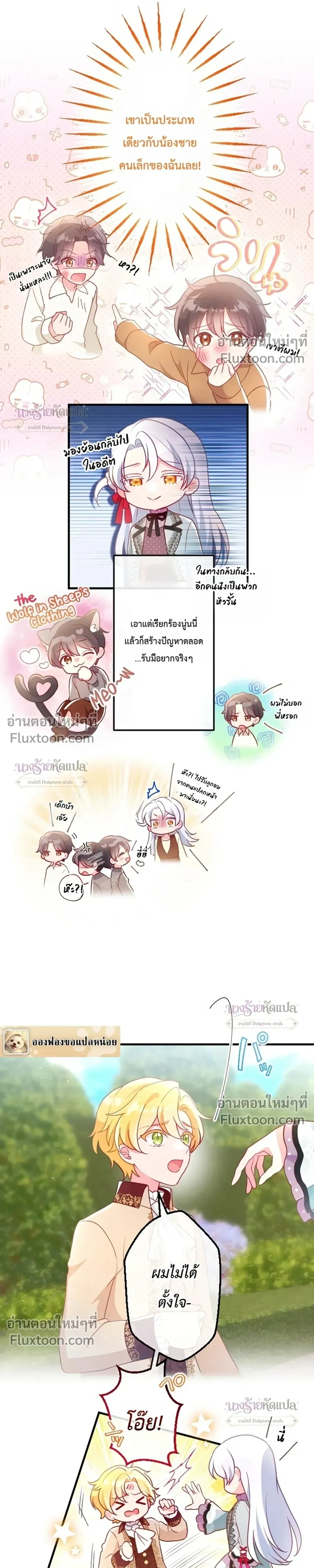 หน้าที่ 24