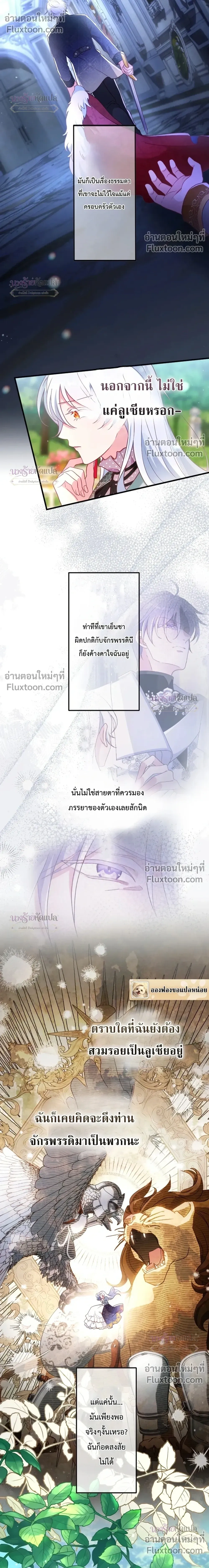 หน้าที่ 17