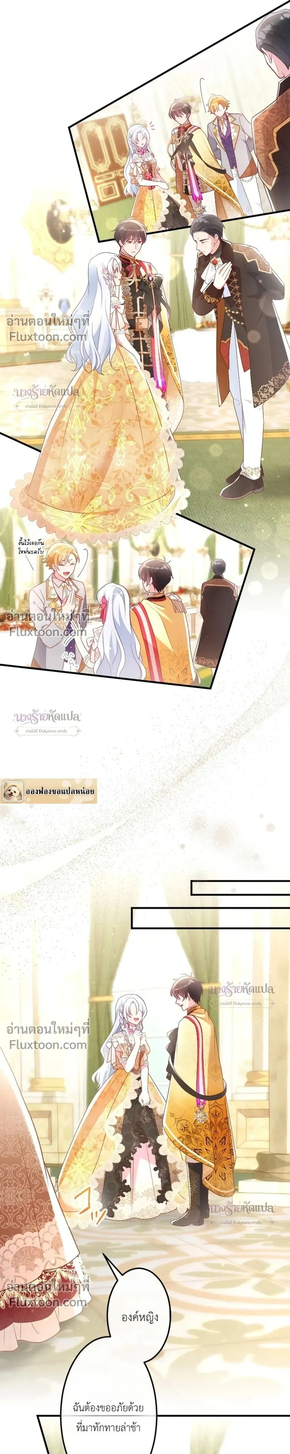 หน้าที่ 13