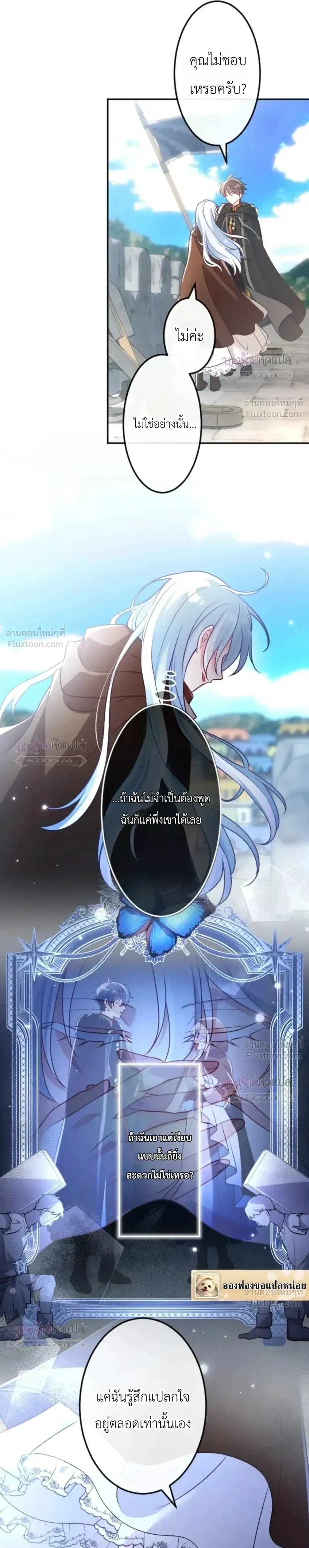 หน้าที่ 13