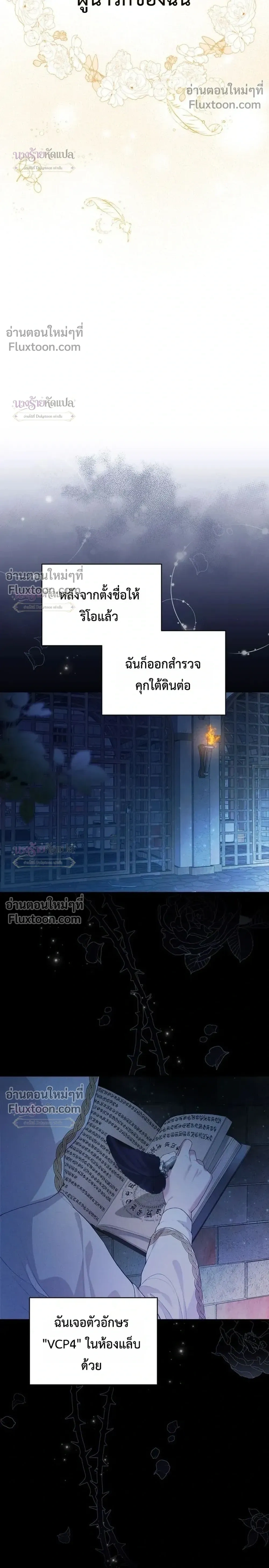 หน้าที่ 19