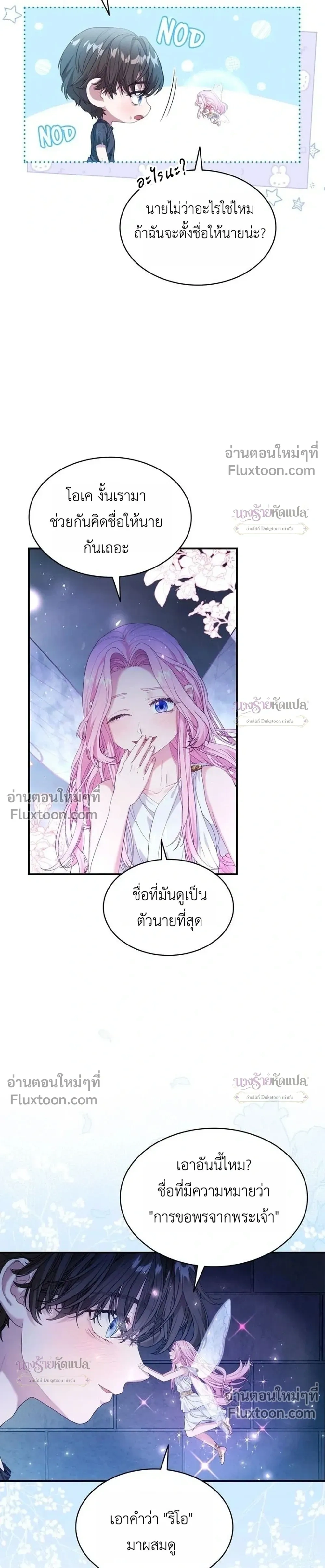 หน้าที่ 13
