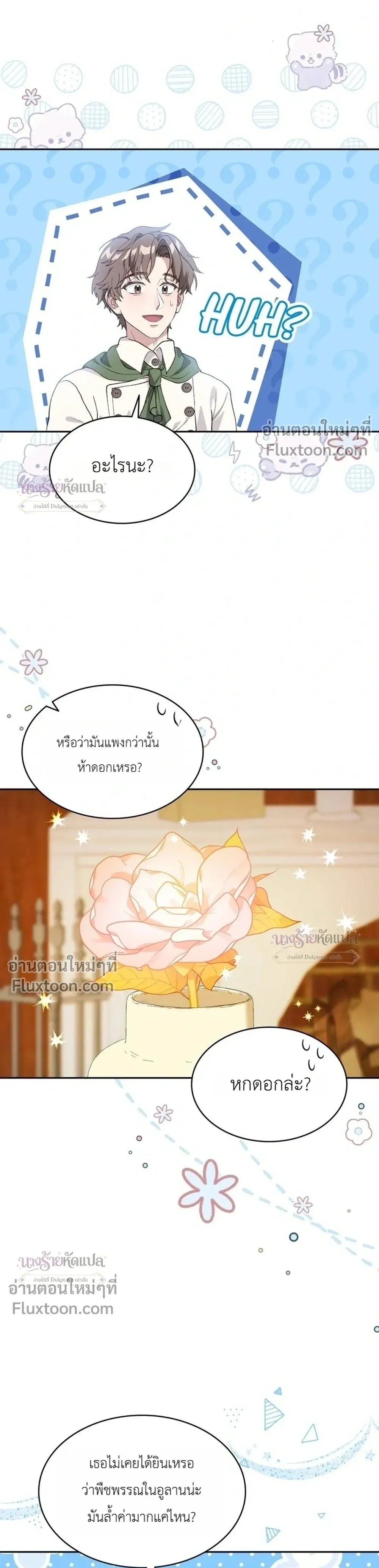หน้าที่ 13