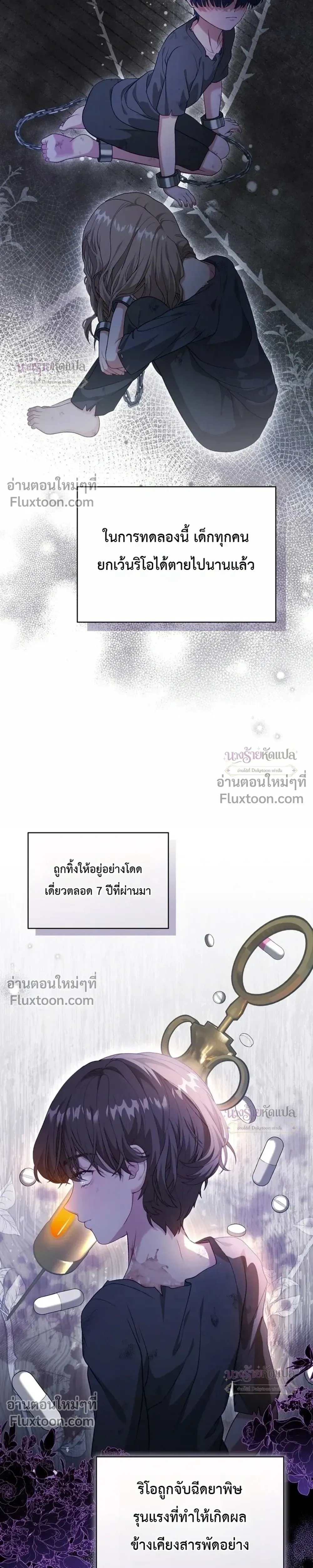 หน้าที่ 24