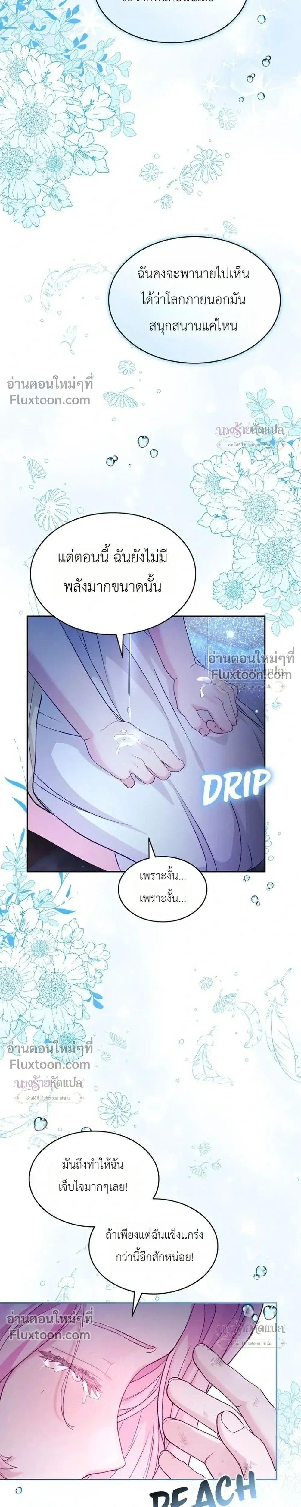 หน้าที่ 29