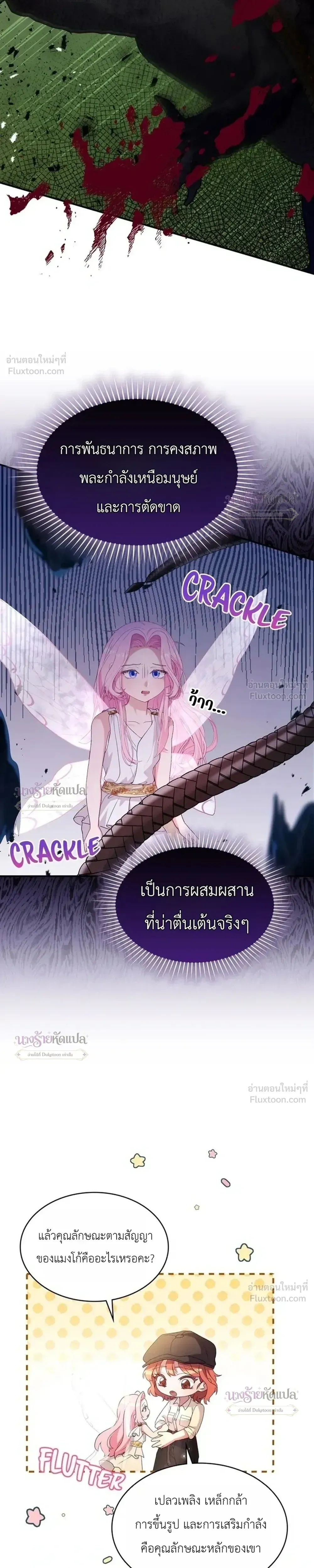 หน้าที่ 17