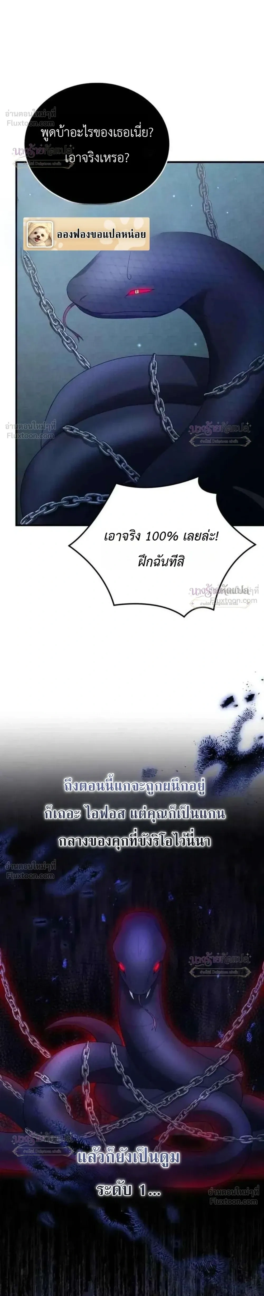 หน้าที่ 28