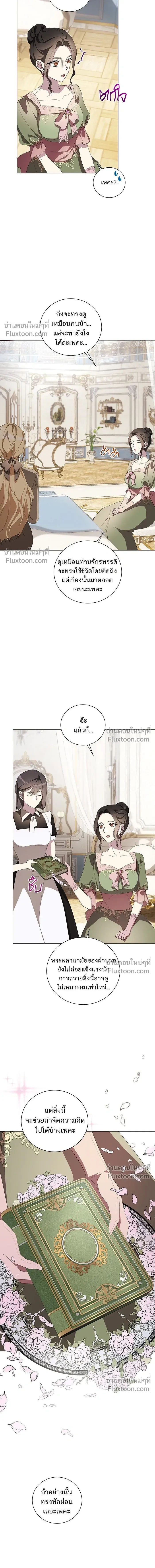 หน้าที่ 13