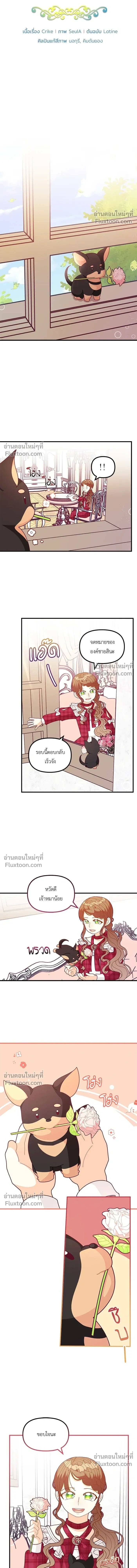 หน้าที่ 3