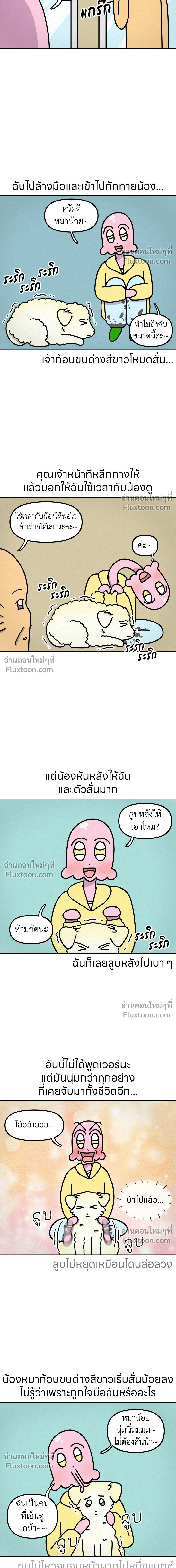 หน้าที่ 5