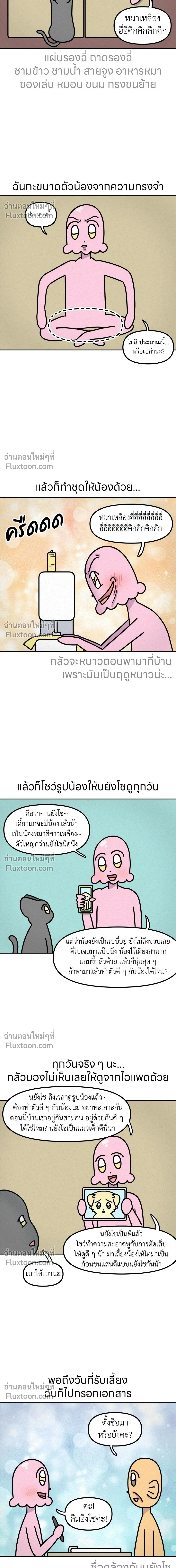 หน้าที่ 5