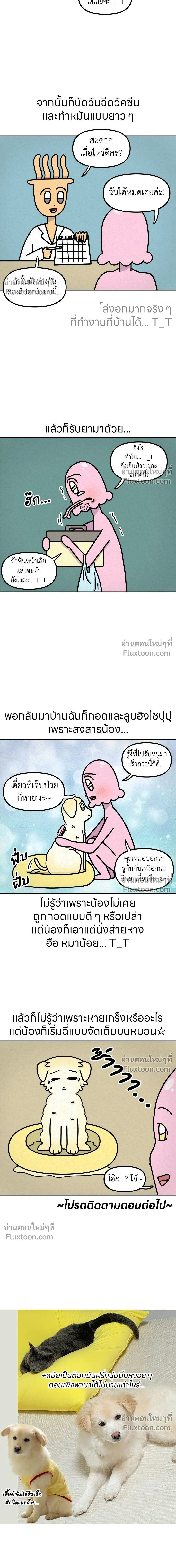 หน้าที่ 6