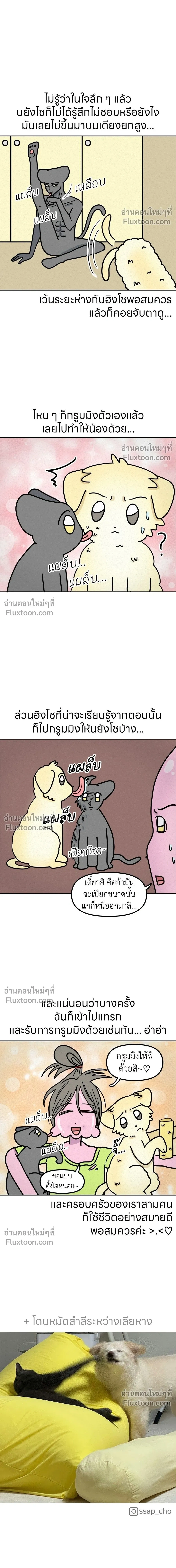 หน้าที่ 6