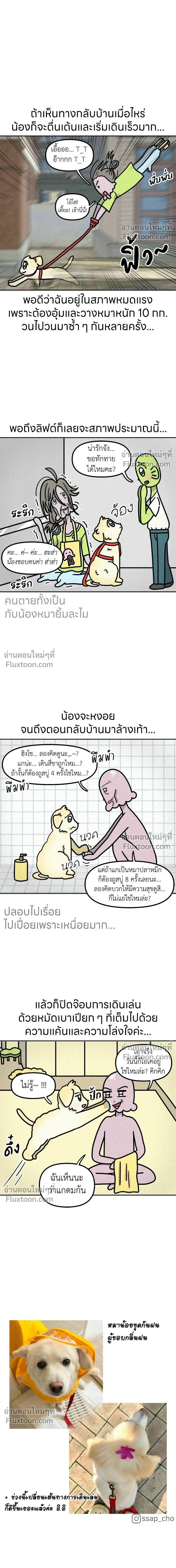 หน้าที่ 6