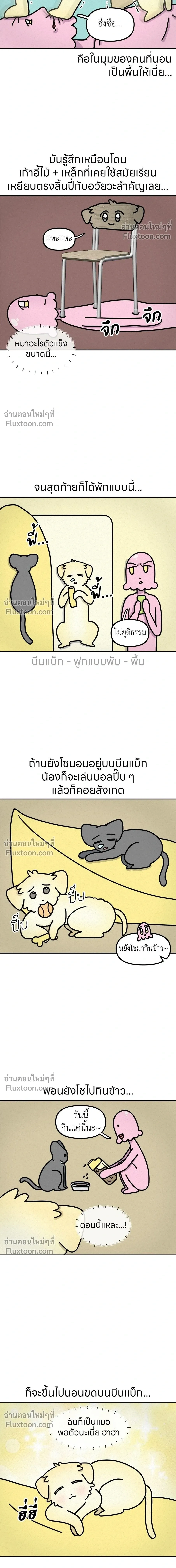 หน้าที่ 5
