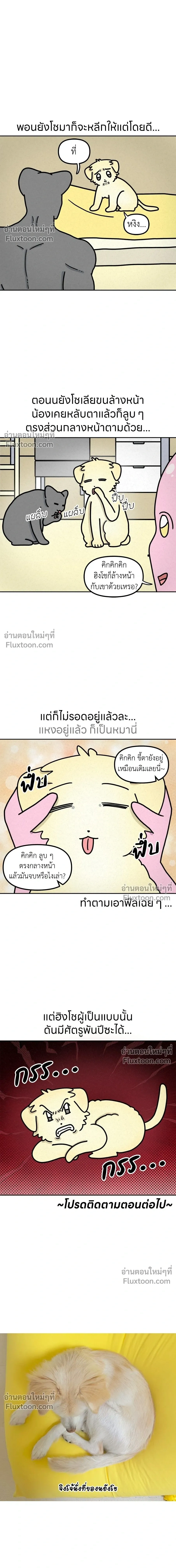 หน้าที่ 6