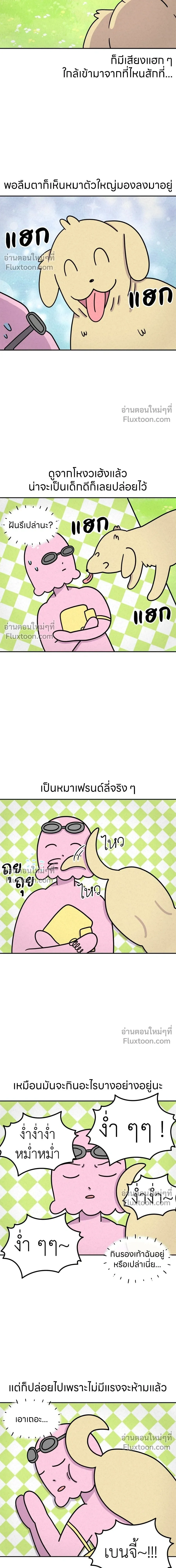 หน้าที่ 5
