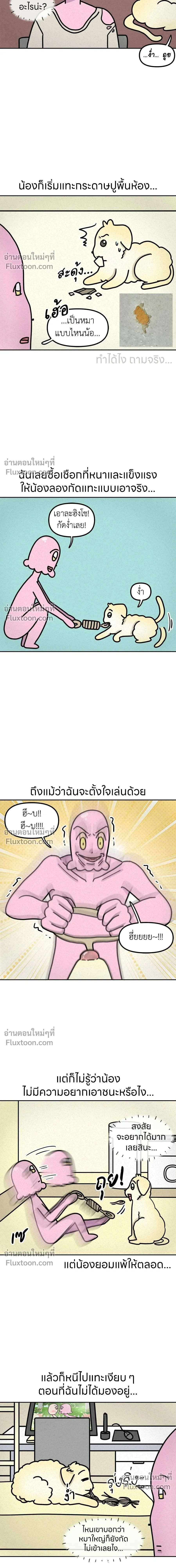 หน้าที่ 5