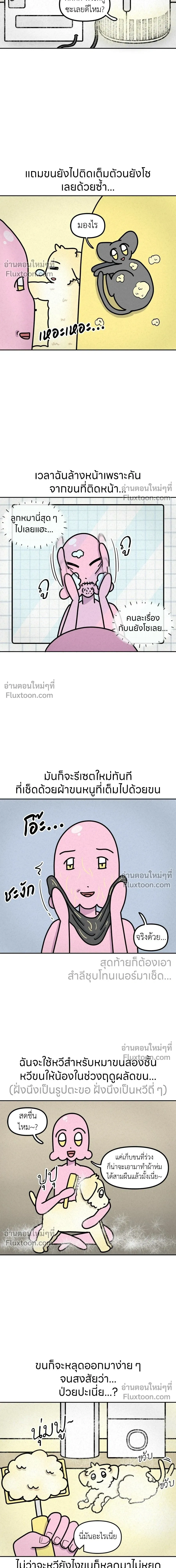 หน้าที่ 5