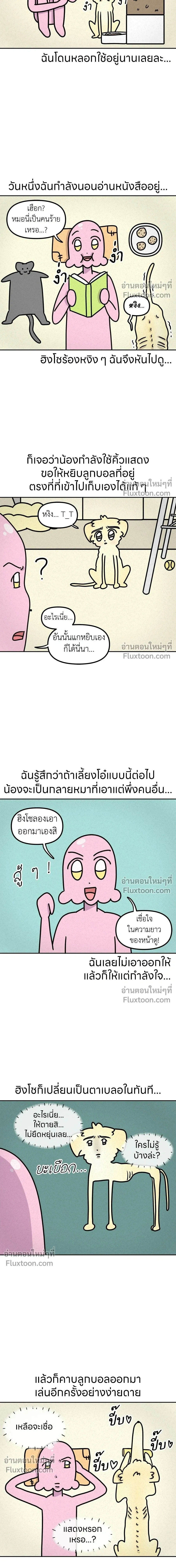 หน้าที่ 5