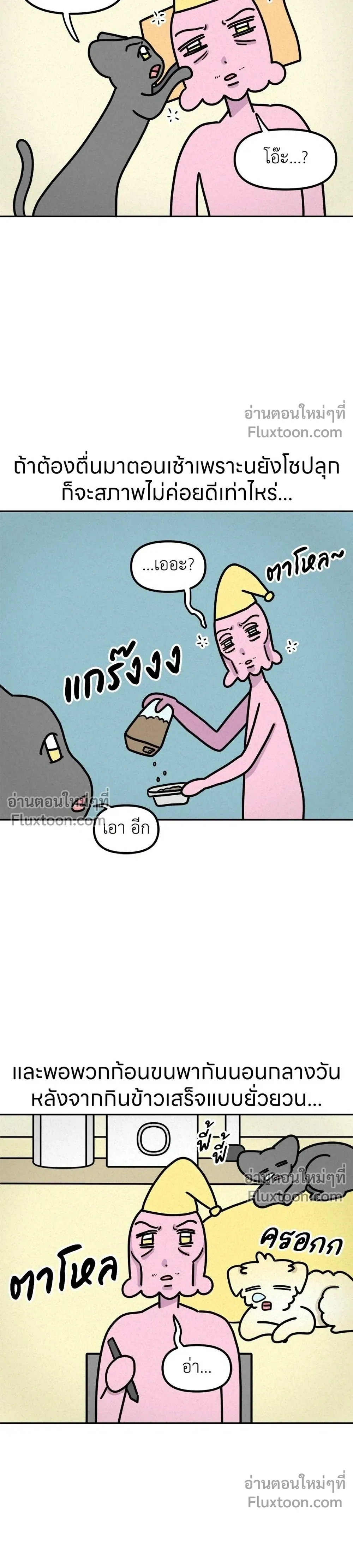 หน้าที่ 5