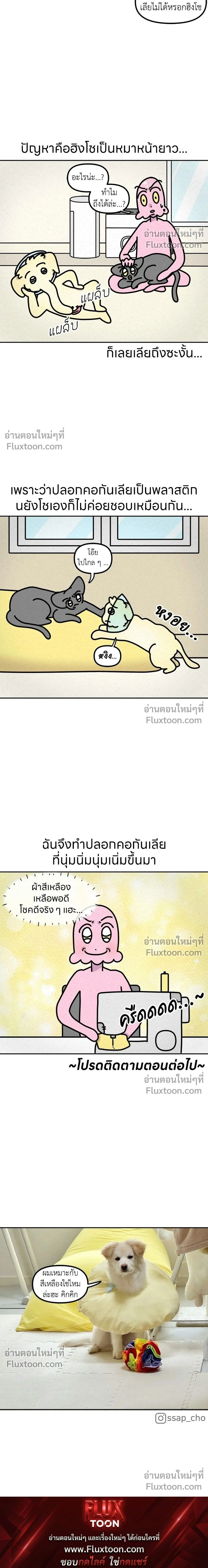 หน้าที่ 9