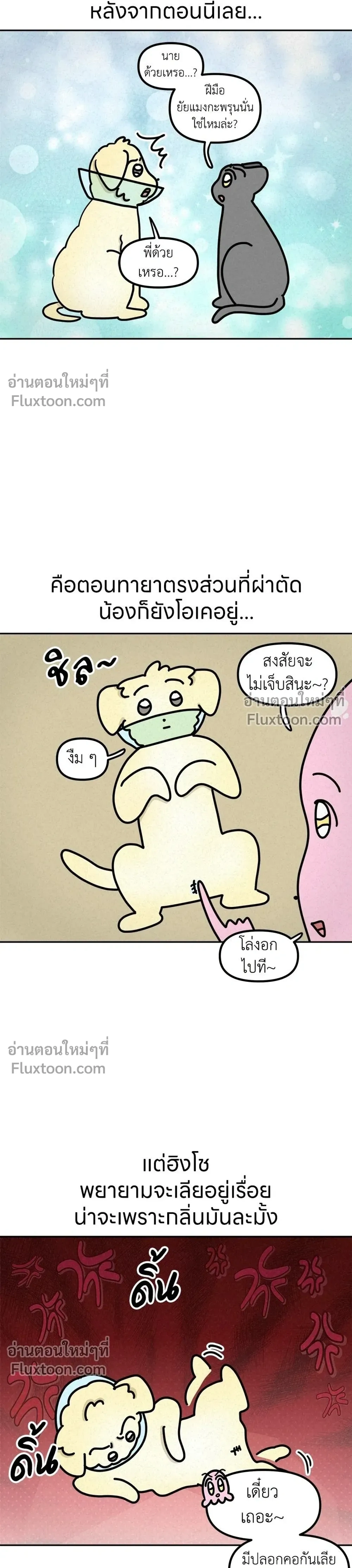 หน้าที่ 8