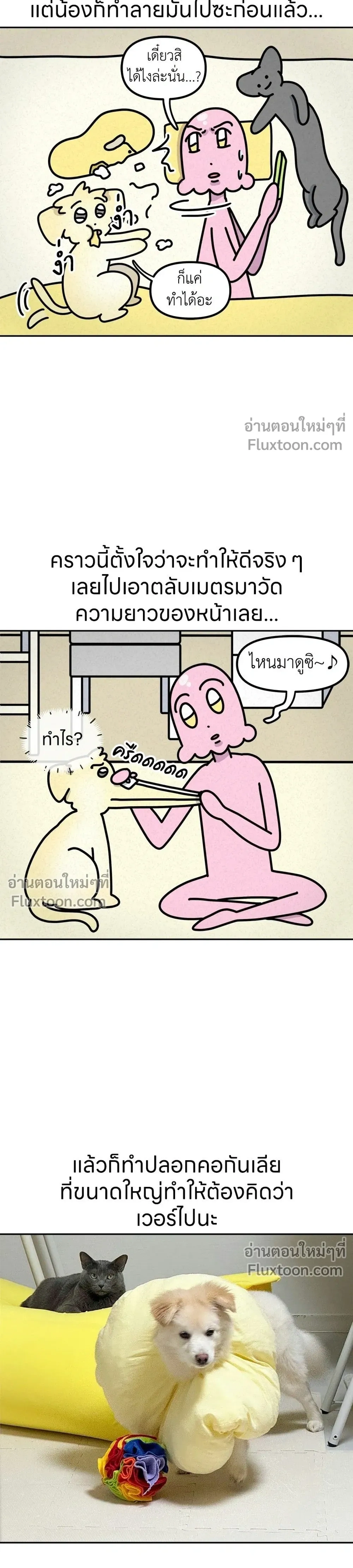หน้าที่ 3
