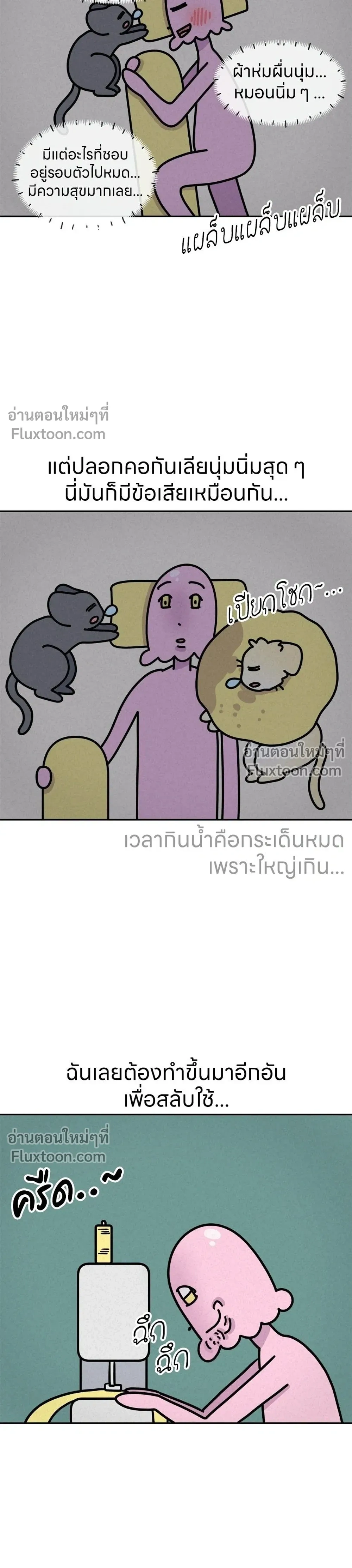 หน้าที่ 5