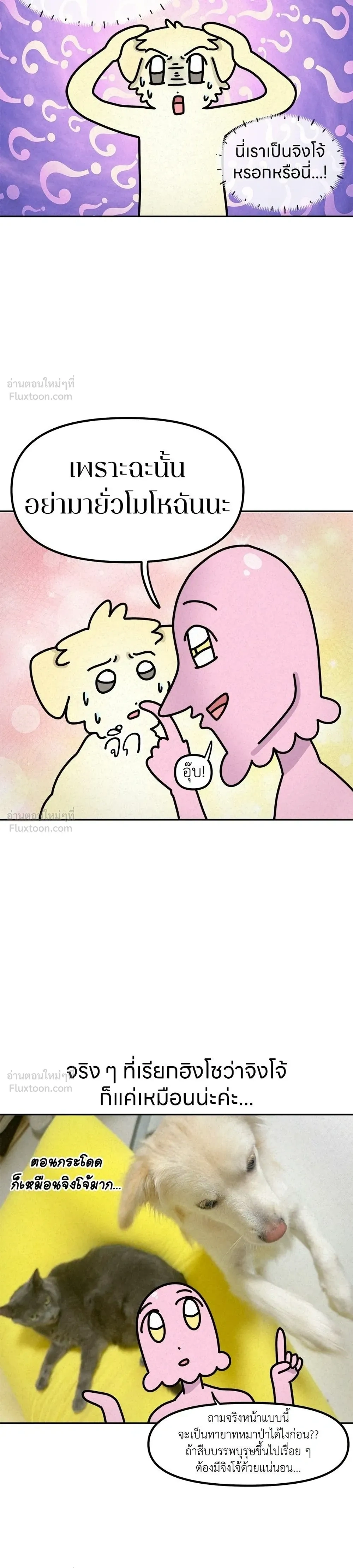 หน้าที่ 5