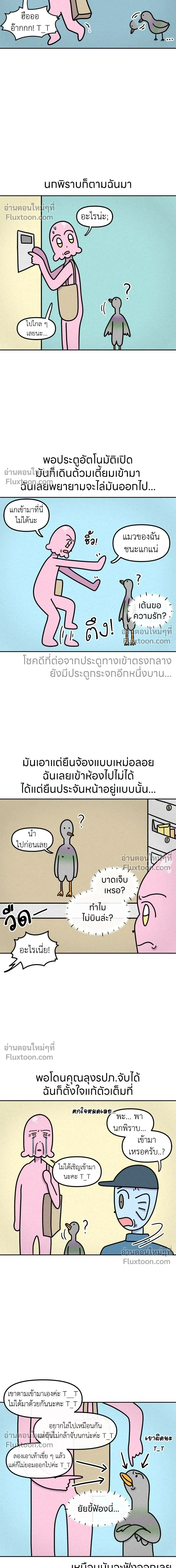 หน้าที่ 5