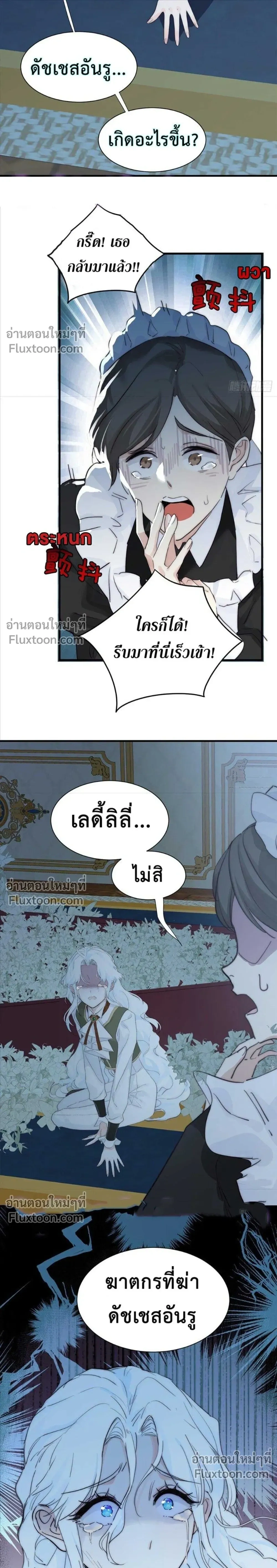 หน้าที่ 29