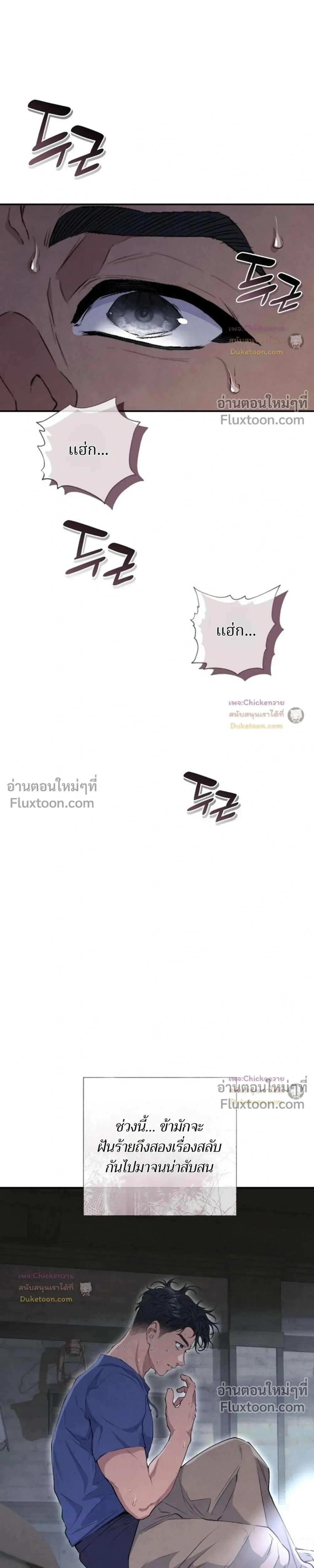 หน้าที่ 29