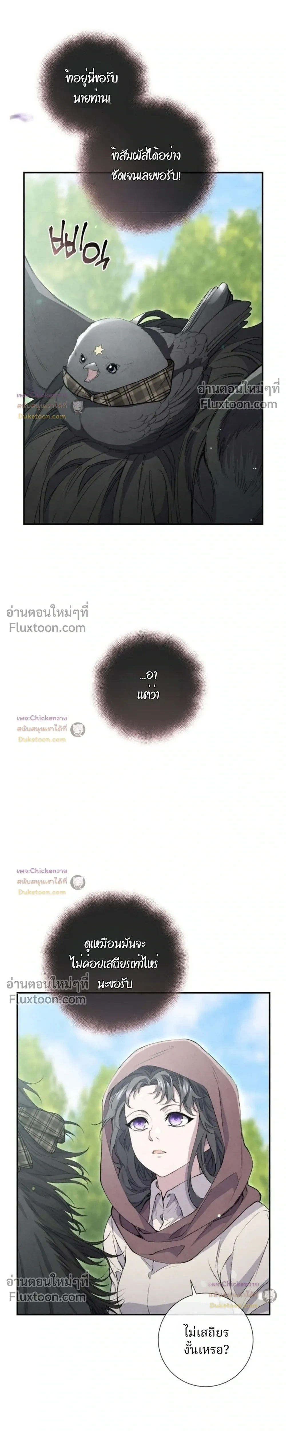 หน้าที่ 13