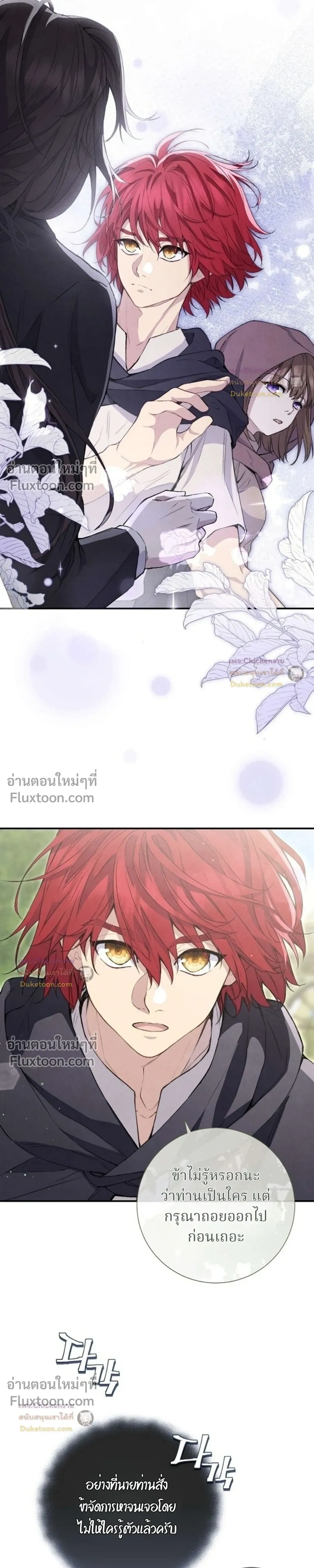 หน้าที่ 17